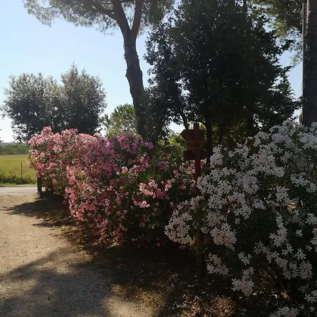 Podere Simonetta - A9 Holiday home *